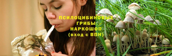 МДПВ Абинск
