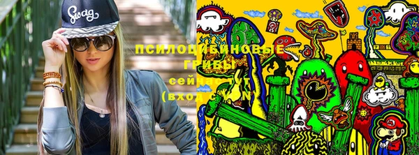 амф Алексин