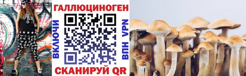 Галлюциногенные грибы Magic Shrooms Ангарск