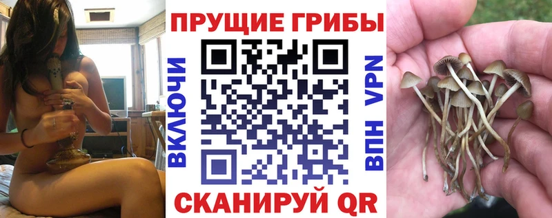 Псилоцибиновые грибы прущие грибы  наркотики  Ангарск 